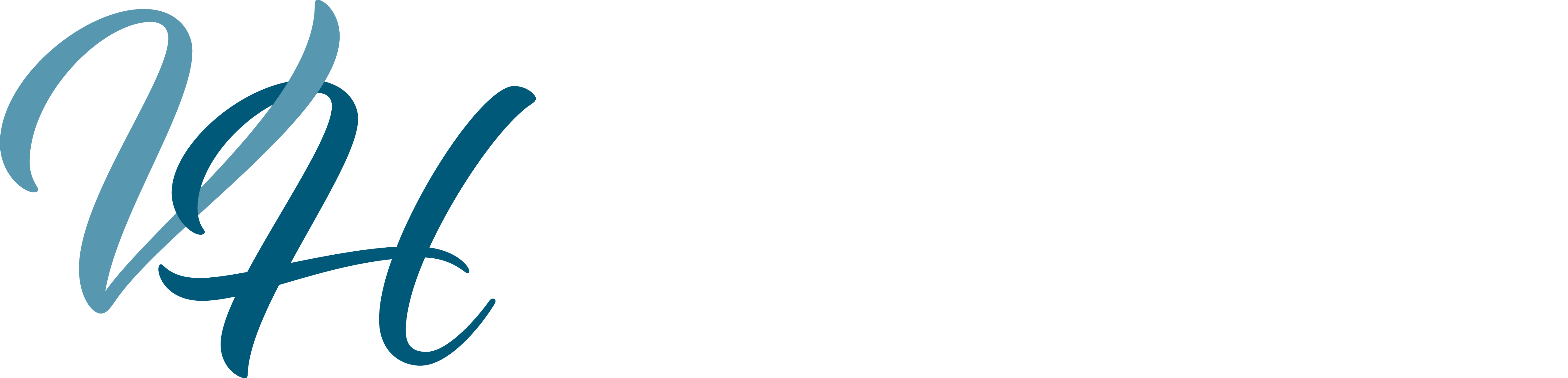 VHD Logo 2018